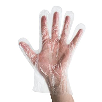 Disposable Polyethylene Gloves (200pk)