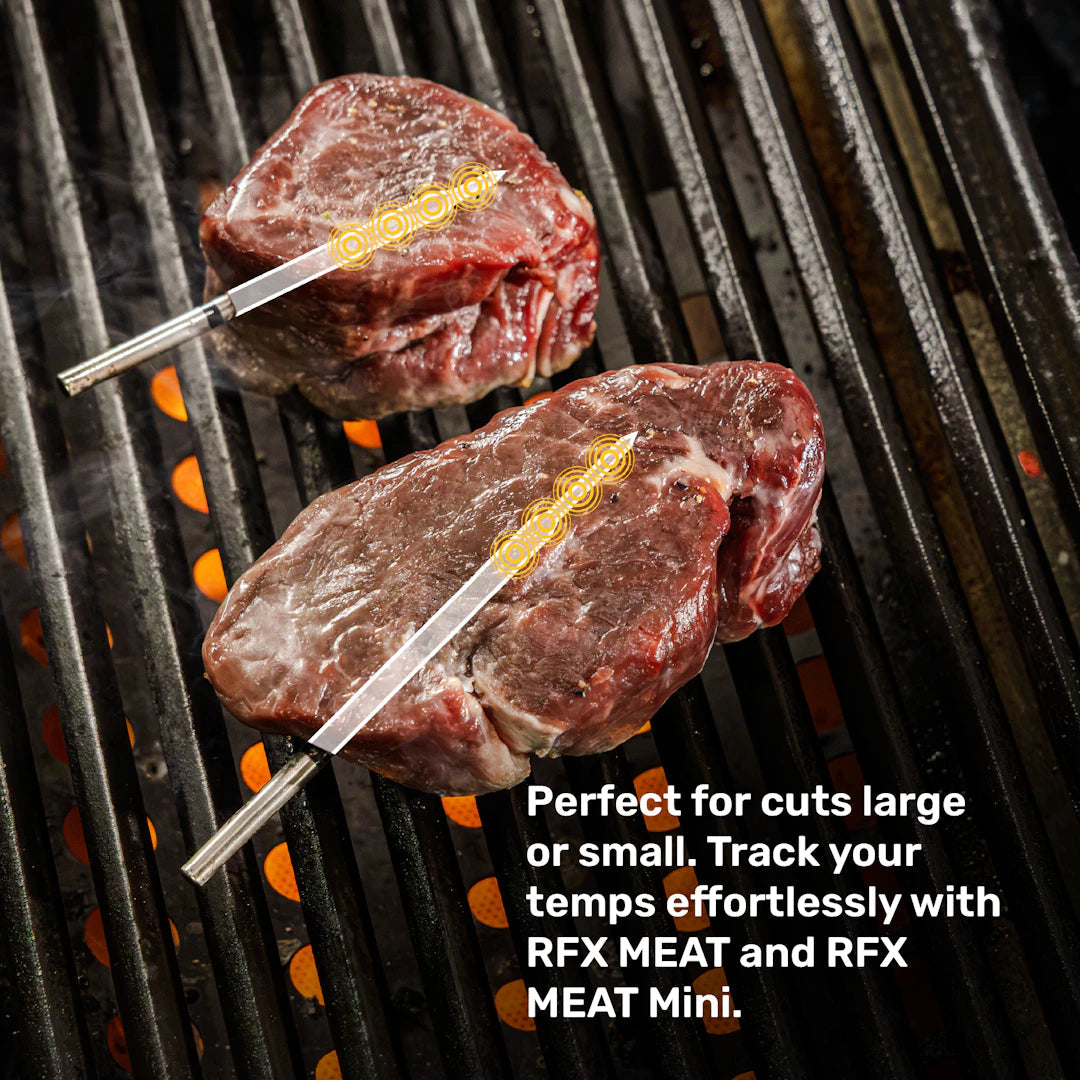RFX MEAT MINI Wireless Probe