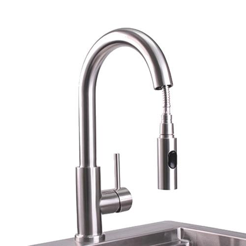Professional Gooseneck Pull-Down Faucet